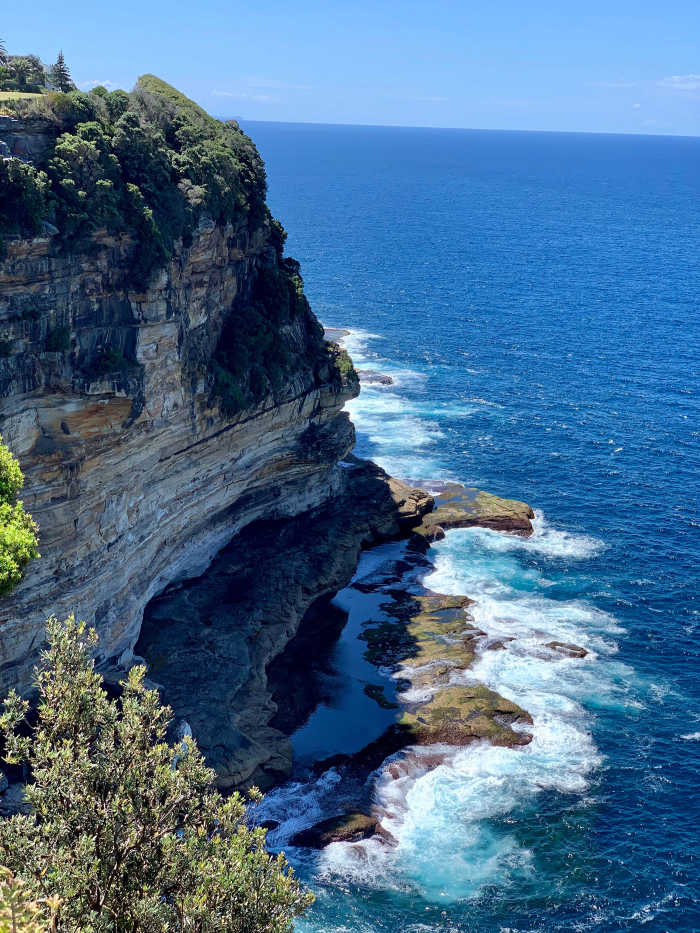 Bondi Cliffs