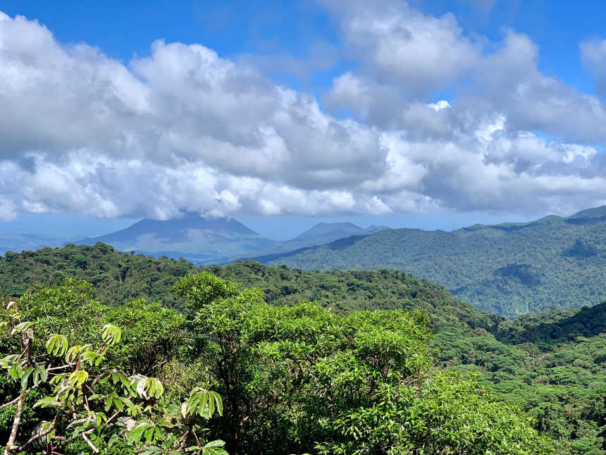 Monteverde Canopy