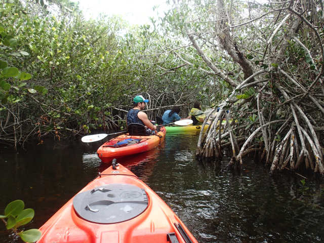 Canoeing through Cypress