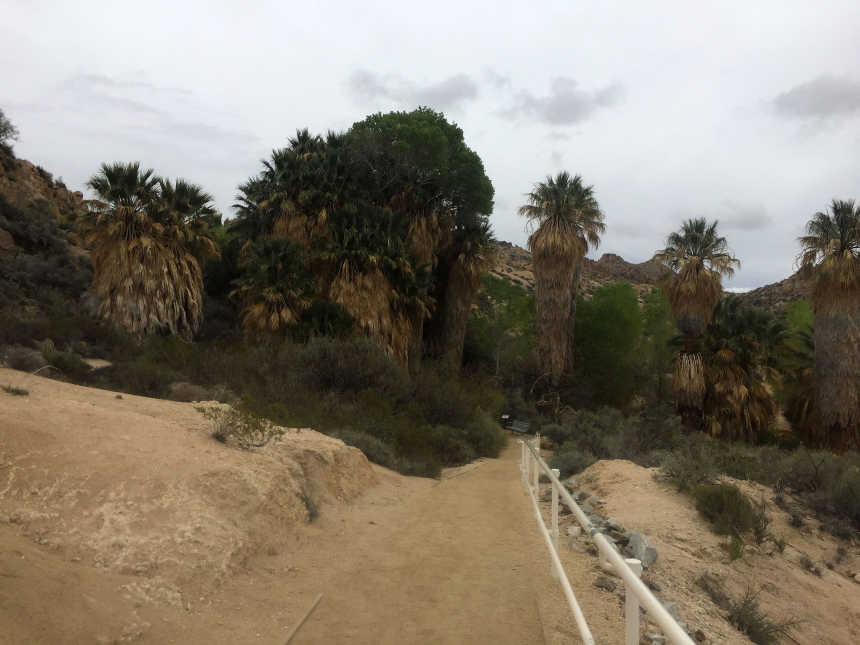 Entrance to Lost Palms Oasis